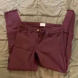 Caslon jeans maroon/purple